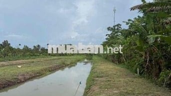 ĐẤT THỔ CƯ MẶT TIỀN LỘ 61C GIÁ CỰC RẺ