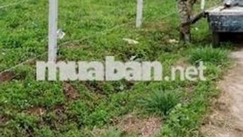 749m2 mặt tiền liên thôn Lộc Đức