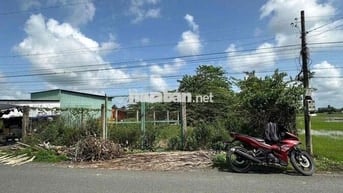 🌈 485m² thổ cư nhựa Nhựt Chánh. Cách uỷ ban 200m