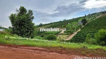 Mặt tiền chính Hồ Ngọc Lộc Tân