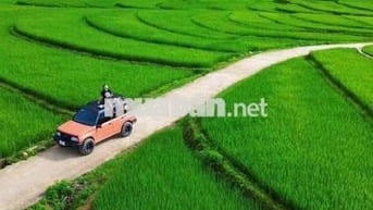 420m măt tiền đg nhua.  xac đg vành đai.