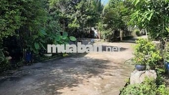 Bán đất mặt tiền 16m phường Tân Uyên, cạnh  ĐT746 và sông Đồng Nai