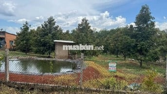 1 sào lẻ có ao, có nhà rẫy 295tr cách DT.753 chỉ chưa tới 1km