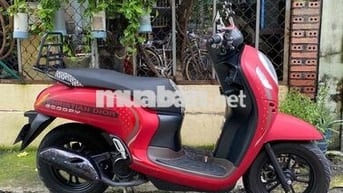 Scoopy Indo lướt chính chủ.
