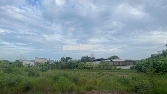 Chính chủ gia đình cần bán đất vị trí đẹp thuộc xã Bình Chánh