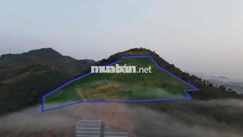 BÁN LÔ ĐẤT 30.000m2 NGAY TRUNG TÂM DU LỊCH ĐẠI LÀO – TP. BẢO LỘC 🌿