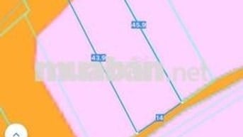 Đất đẹp gần Biển Phước Hải, 594m2, 14x49m TC 100m2 Giá 5.65 tỷ