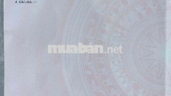 Bán gấp đất nền ấp 5 sông trầu cũ(ấp 12B xã Trảng Bom mới) 899 gần chợ