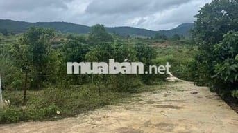 Chính chủ cần bán lô đất TT Nam Ban 163m2 Ven Đà Lạt