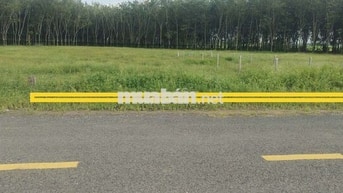 Gần 4 công đất đường nhựa suối đá. Chỉ 2 tỷ 400 triệu hết đất