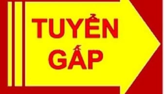 Hair salon Duc GoldenHair Q.1 cần tuyển Thợ Chánh, Thợ Phụ, Lương Cao