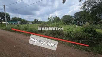 Lô đất 1000m ngay Hàm Tân Quốc Lộ 55 vào 200m thổ cư