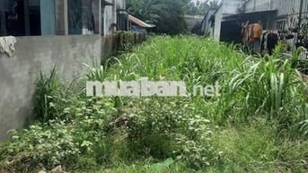 bán gấp lô đất giá 1,5 tỷ 88m2 Đ.Trịnh Thị Miếng gần KCN Tân Hiệp,SHR
