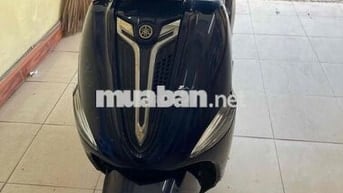 can ban yamaha nozza