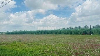 Đất đẹp ngay biển Tân Điền Beach xã Tân Điền ,Gò Công Đông,Tiền Giang