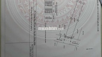 2 Lô Đất Liền kề hơn 95m HXH tiện xây CHDV giá chỉ 5,9 tỷ mỗi lô