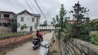 Chính chủ bán đất Hồng Vân Thường Tín ( sát Ninh Sở)