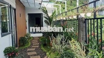 Chuyển công tác cần bán gấp lỗ lại căn nhà 153 m2 tặng vườn tiểu cảnh