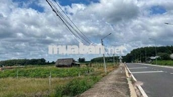 chủ cần tiền bán gấp lô đất cách QL13 100m