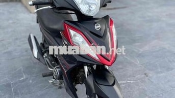 xe chính hãng giá rẻ