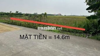 🔥🔥🔥ĐẤT NÔNG NGHIỆP – LÔ GÓC – SÁT BÌA LÀNG –ĐƯỜNG Ô TÔ TRÁNH 🔥🔥🔥