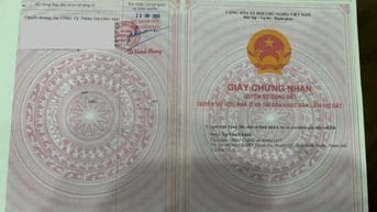 Đất thổ cư mặt tiền Củ Chi 2113m2 -Ngang 21m đường Bình Mỹ - Có xưởng.