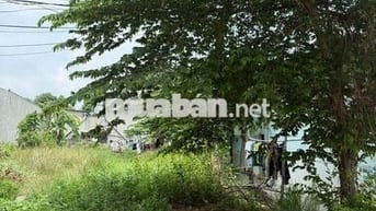 Chính chủ cần tiền bán gấp lô đất tại đường DL16 Phường Thới Hòa