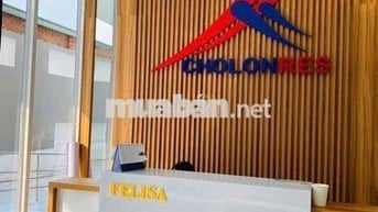 Căn hiếm ở Felisa Riverside (dưới chân cầu Nguyễn Tri Phương), quận 8