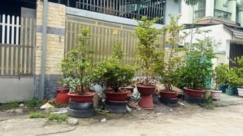 Bán đất mặt tiền Bùi Tư Toàn Quận Bình Tân, DT 4x21m, giá chỉ 6 tỷ