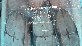 CÁ thu 1 nắng khúc giữa chuẩn hút chân không