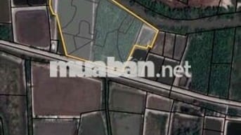 Bán Gấp Lô Đất Nông Nghiệp xã Tam Thôn Hiệp huyện Cần Giờ TPHCM