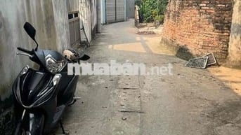 VỚI HÀNG TRIỆU NGƯỜI TÌM VỀ TRIỂM LÃM QUỐC GIA - THÌ SỨC HÚT CỦA VIN C