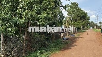 Cần bán lô đất mặt tiền đường . Đã có 100 thổ cư