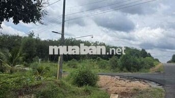 Bán đất đường Hồ Chí Minh, Dầu Tiếng, Bình Dương