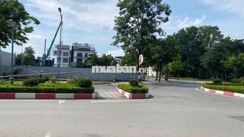cho thuê 10 căn LK, biệt thự Trịnh văn Bô