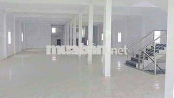 Cho thuê kho 3 lầu tổng diện tích 1600m2