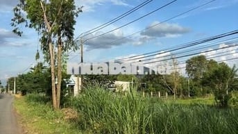 Bán Đất Thổ cư sổ riêng Núi Chứa Chan Xuân Lộc Đồng Nai