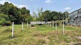 chủ kẹt tiền bán rẻ lô đất xã Trung Lập Hạ Củ Chi 5x44 giá 560 triệu