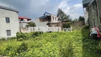 💥💥💥BÁN ĐẤT MAI ĐÌNH – NỞ HẬU, GIÁ TỐT – GẦN SÂN BAY NỘI BÀI💥💥💥
