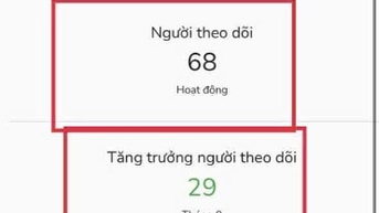 Hỗ trợ đầu tư copytrade vàng, robot