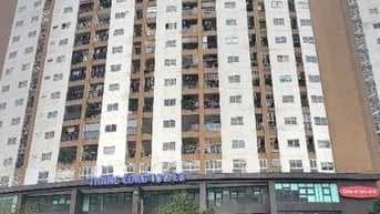 BQL cho thuê 481m2 tầng 3 tòa 33 mạc thái Tổ làm văn phòng, trung tâm 
