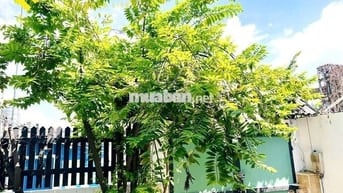 CHO THUÊ CĂN HỘ SÂN VƯỜN NGAY VĂN LANG CS3