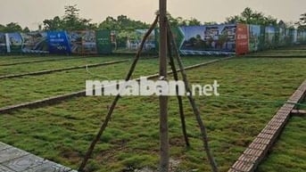 💥SIÊU PHẨM MỚI – HÀNG HIẾM TẠI HÒA LẠC 💥