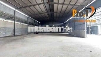 Cho thuê xưởng đường xe cont, gần Võ Nguyên Giáp, Phước Tân, Biên Hòa