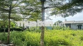Chủ ngộp bán gấp lô đất ngay KDL Bửu Long -Tp Biên Hòa