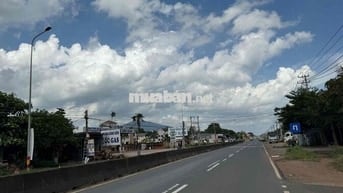 Bán đất thổ cư sổ riêng 162,5m2 ngang 6,5m sát QL1A,Xuân Lộc,Đồng Nai