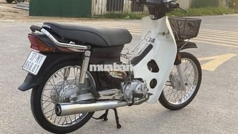Bán dream việt 2005