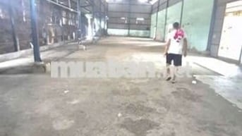 KHO XƯỞNG ĐƯỜNG CONT 40 ĐÊM 600M GIÁ 45 triẹu