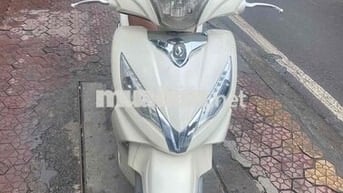 Xe Shark trắng mới tinh