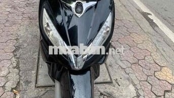 Xe Shark đen đầu zin
